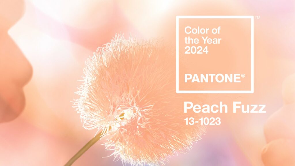 Couleur de l'année 2024 par Pantone : "Peach fuzz" (soit Duvet de Pêche en français) 