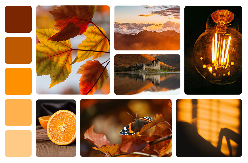 moodboard de la couleur orange avec des photos de lampes, oranges, feuilles mortes et coucher de soleil