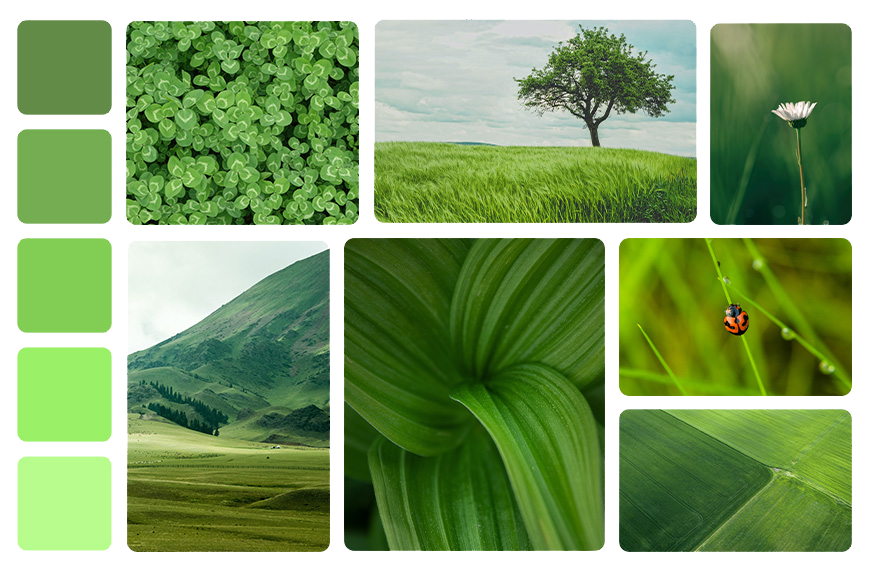 moodboard de la couleur verte avec des paysages agricoles, des praires, des montagnes et close up de plantes